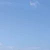 david_9000