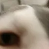 _marciminz_