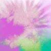 melody.mcgowin