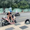thehoang5252
