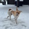 aliweise__