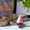 snake.w.hat