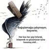 ramzes.bakl.1