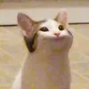 xntxfrxgxlx_