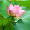 changsheng0