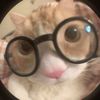catmomo22