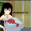 vinakemin19