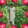 amjadkhan5250