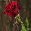 md.hafizul25