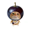 pkobeo