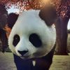 zookeeper6