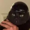 .makorim