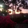 quoc_trong_co_gai0