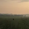 tove_jensen