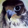 abo_khaled29