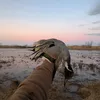 gradyray_99