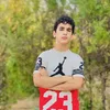 hama_uk10201
