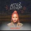 xigubusa