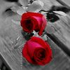 user5477161213302