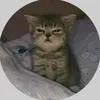 rehtic