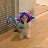 imaweirdoaf