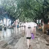 thaothao_9192