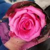 amna.waheed1