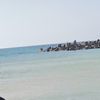 koka.5357224