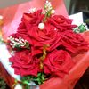 soso36_2