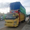darwis338