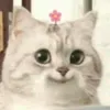 eszxkaji