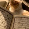 islamic_vidiocenter