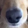 utsubo_34