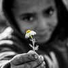 mehad688