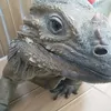 tosaky