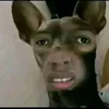 nhatbeonef
