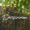 Persimmon