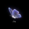 sally_635