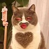 thaodtt06