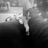 luckycatmanifests