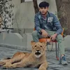 Talha lion lover