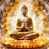 songdep6
