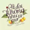 thuandang981