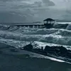 redirodriguez
