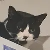 ohgoddaddy