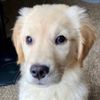 allegedly__allie