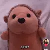 peterthehedgehoggg3