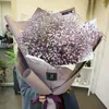 myxuyenn28