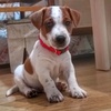 jrt.toby