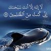 yasserahmedabwadham